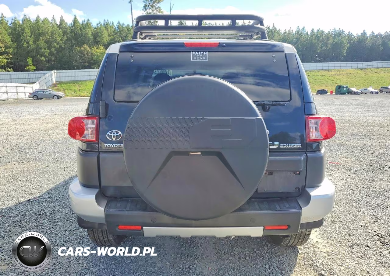 2009 Toyota Fj Cruiser Base VIN:JTEBU11F69K058519 - 6
