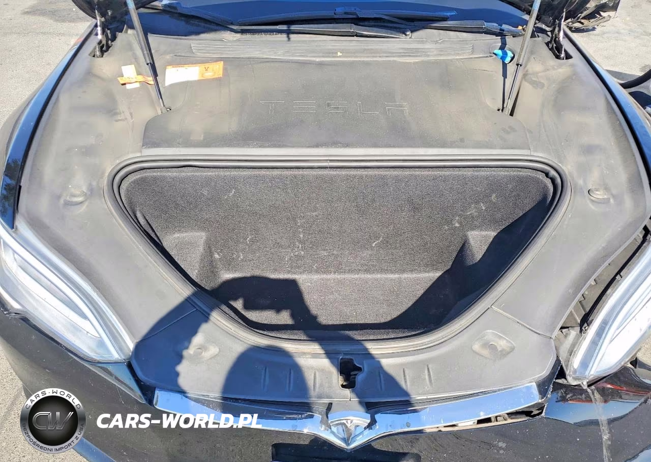 2016 Tesla Model S VIN:5YJSA1E15GF142479 - 11