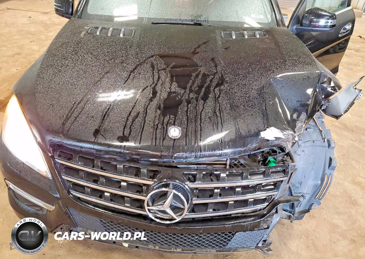 2013 Mercedes-Benz Ml 350 Bluetec VIN:4JGDA2EB6DA169276 - 12
