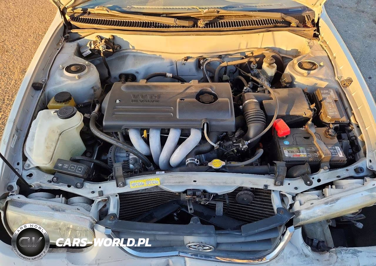 2001 Toyota Corolla Ce VIN:1NXBR12E51Z482239 - 11