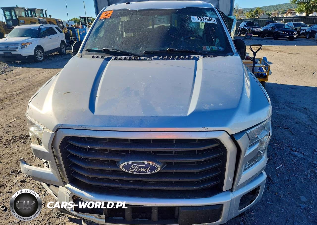2017 Ford F150 Supercrew VIN:1FTEW1EG3HFA44809 - 11