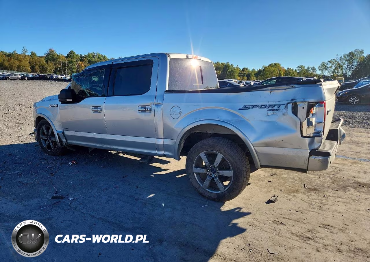 2017 Ford F150 Supercrew VIN:1FTEW1EG3HFA44809 - 2