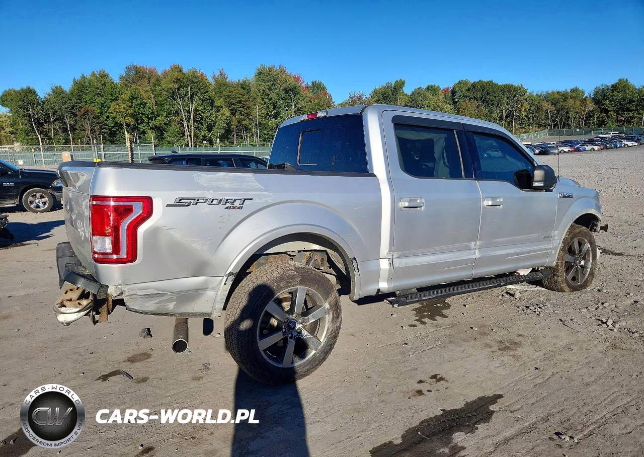 2017 Ford F150 Supercrew VIN:1FTEW1EG3HFA44809 - 3