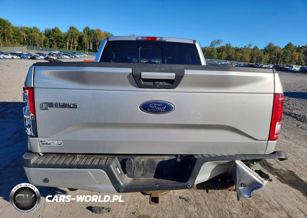 2017 Ford F150 Supercrew VIN:1FTEW1EG3HFA44809 - 6