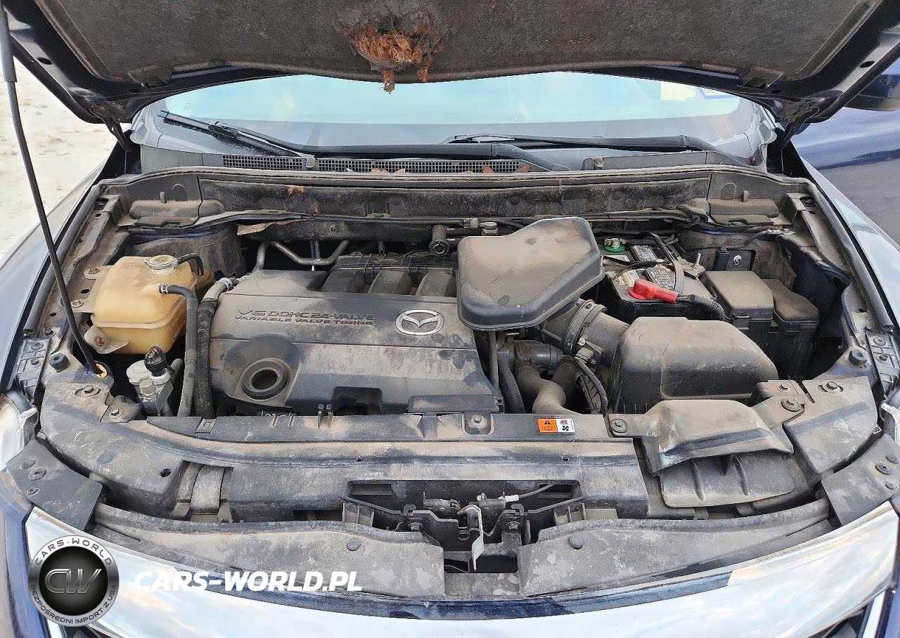 2012 Mazda Cx-9 VIN:JM3TB2CAXC0337004 - 12