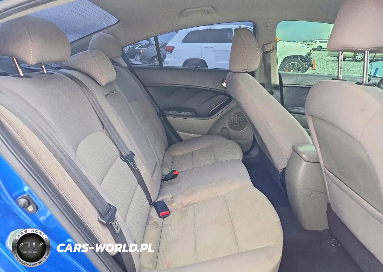 2014 Kia Forte Lx VIN:KNAFX4A68E5155015 - 10