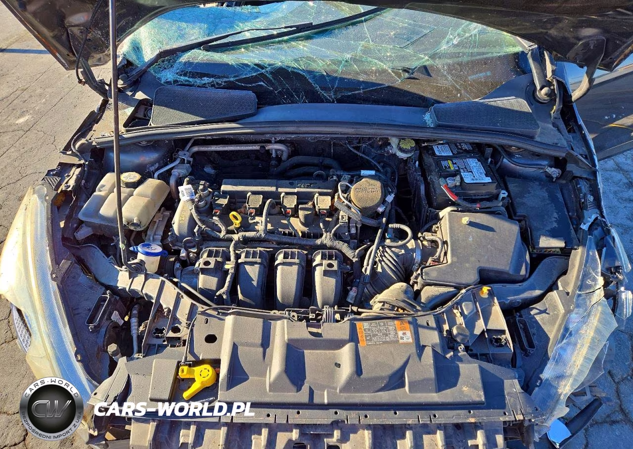 2015 Ford Focus Se VIN:1FADP3F24FL209083 - 11