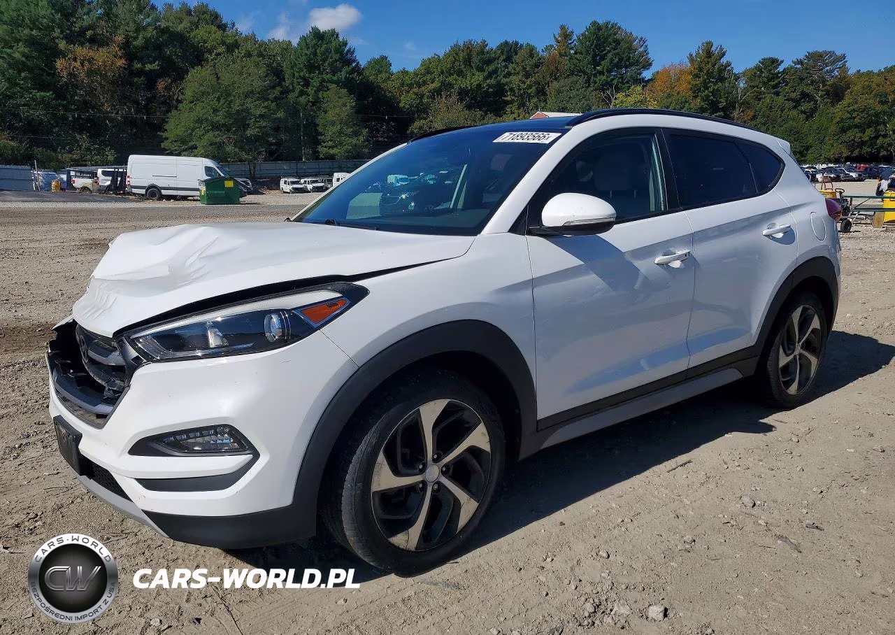 2018 Hyundai Tucson Value VIN:KM8J3CA23JU756490 - 1