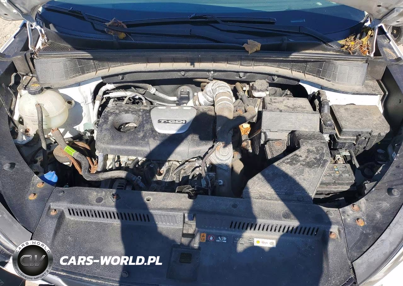 2018 Hyundai Tucson Value VIN:KM8J3CA23JU756490 - 12
