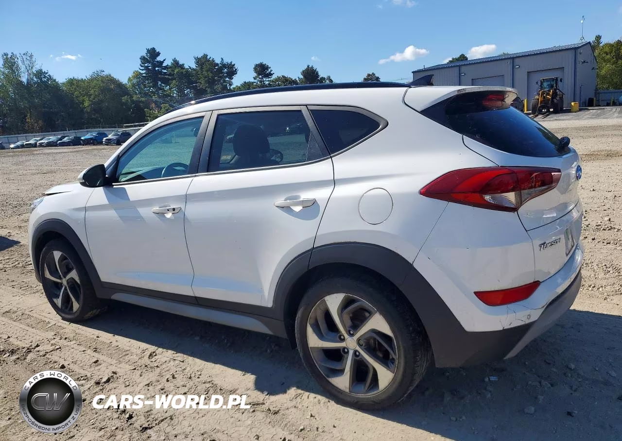 2018 Hyundai Tucson Value VIN:KM8J3CA23JU756490 - 2