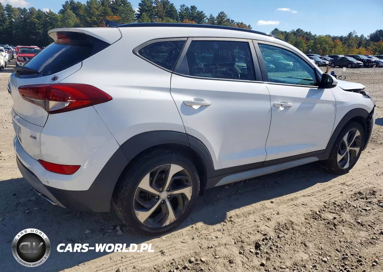 2018 Hyundai Tucson Value VIN:KM8J3CA23JU756490 - 3