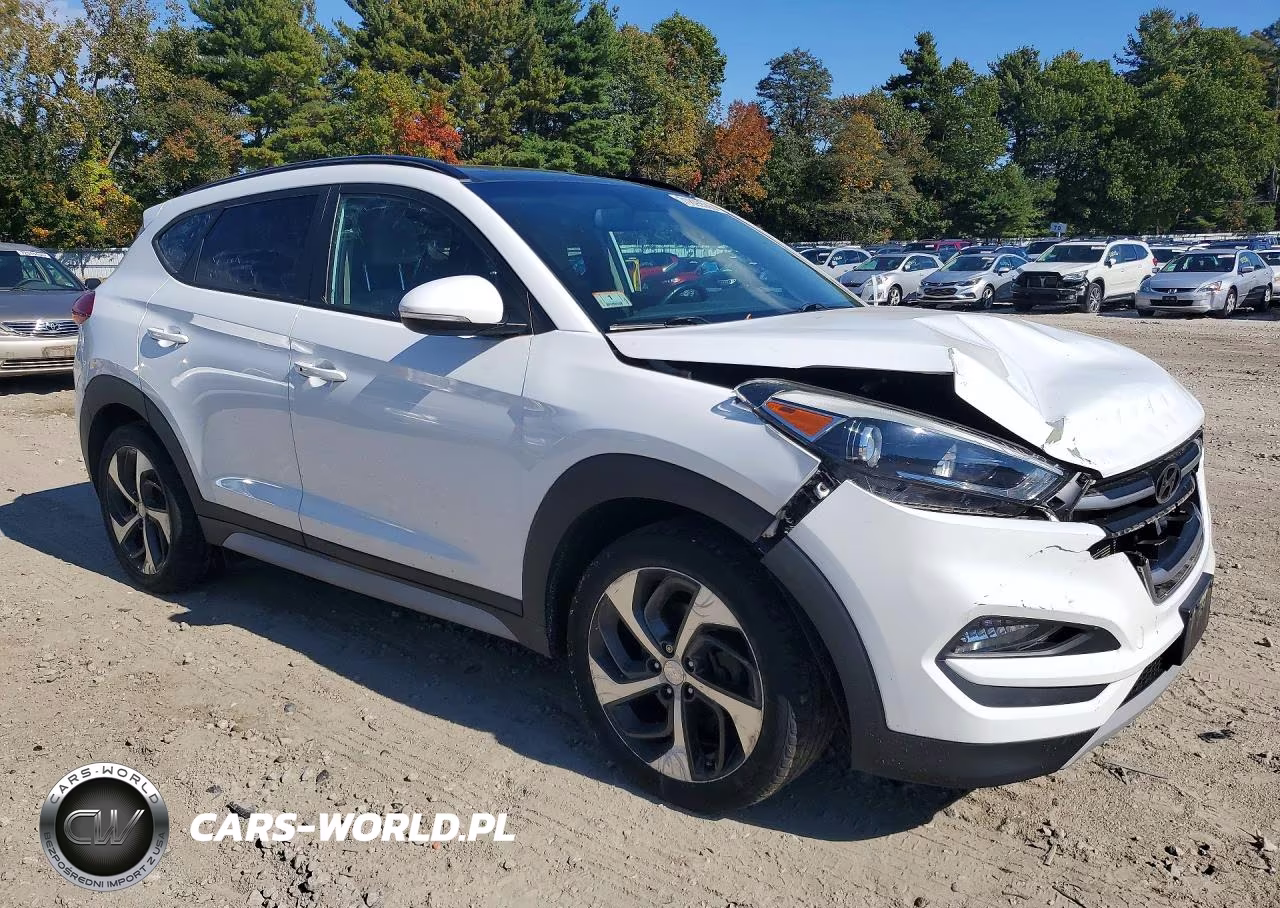 2018 Hyundai Tucson Value VIN:KM8J3CA23JU756490 - 4