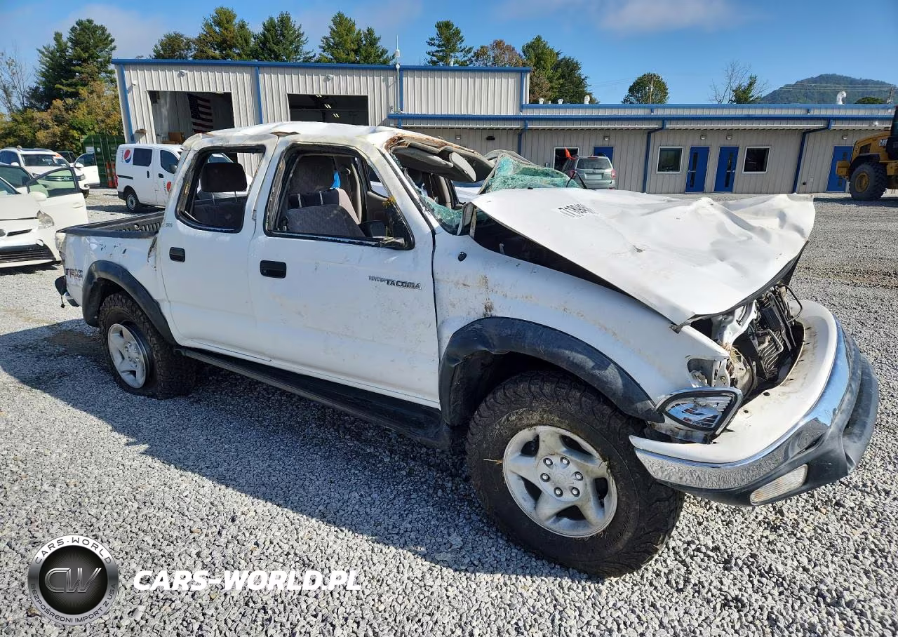2001 Toyota Tacoma Double Cab VIN:5TEHN72N11Z806209 - 4