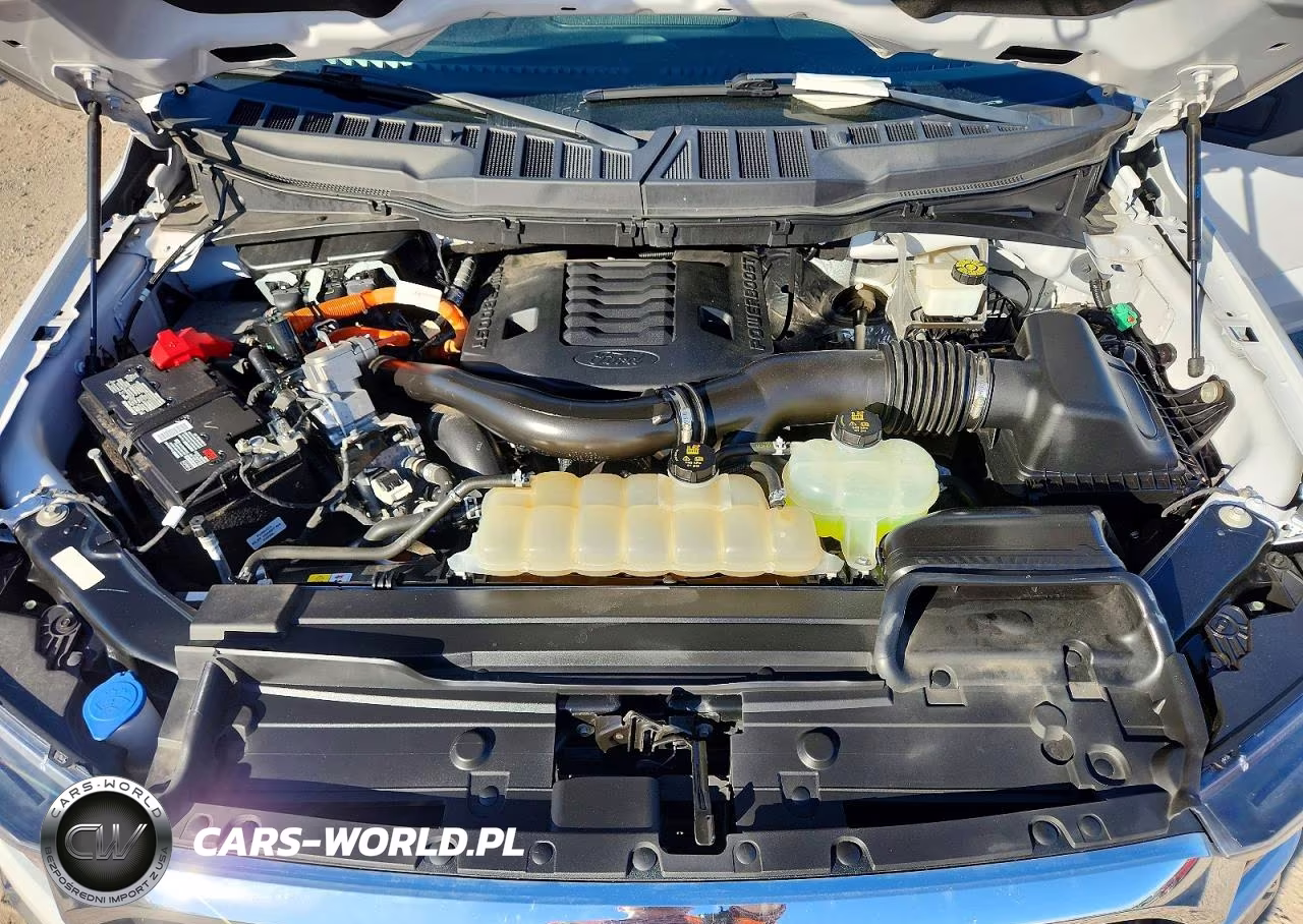 2023 Ford F150 Supercrew VIN:1FTFW1CD7PFA20671 - 11