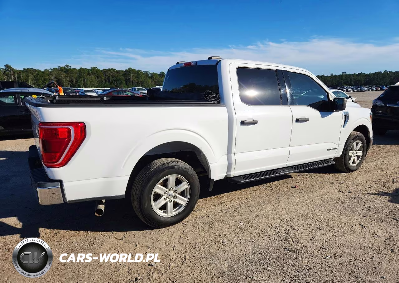 2023 Ford F150 Supercrew VIN:1FTFW1CD7PFA20671 - 3