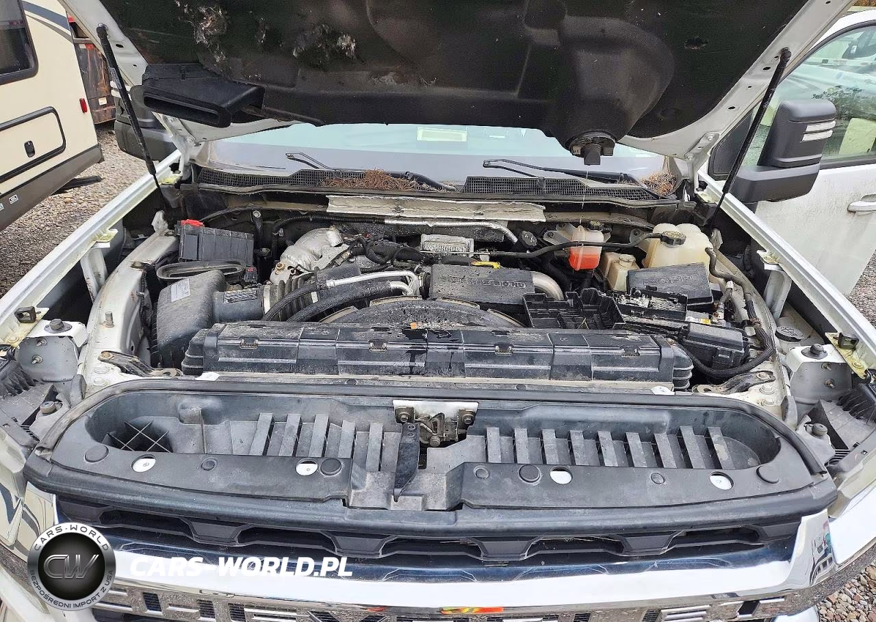 2020 Chevrolet Silverado K3500 Lt VIN:1GC4YTEY2LF193909 - 12