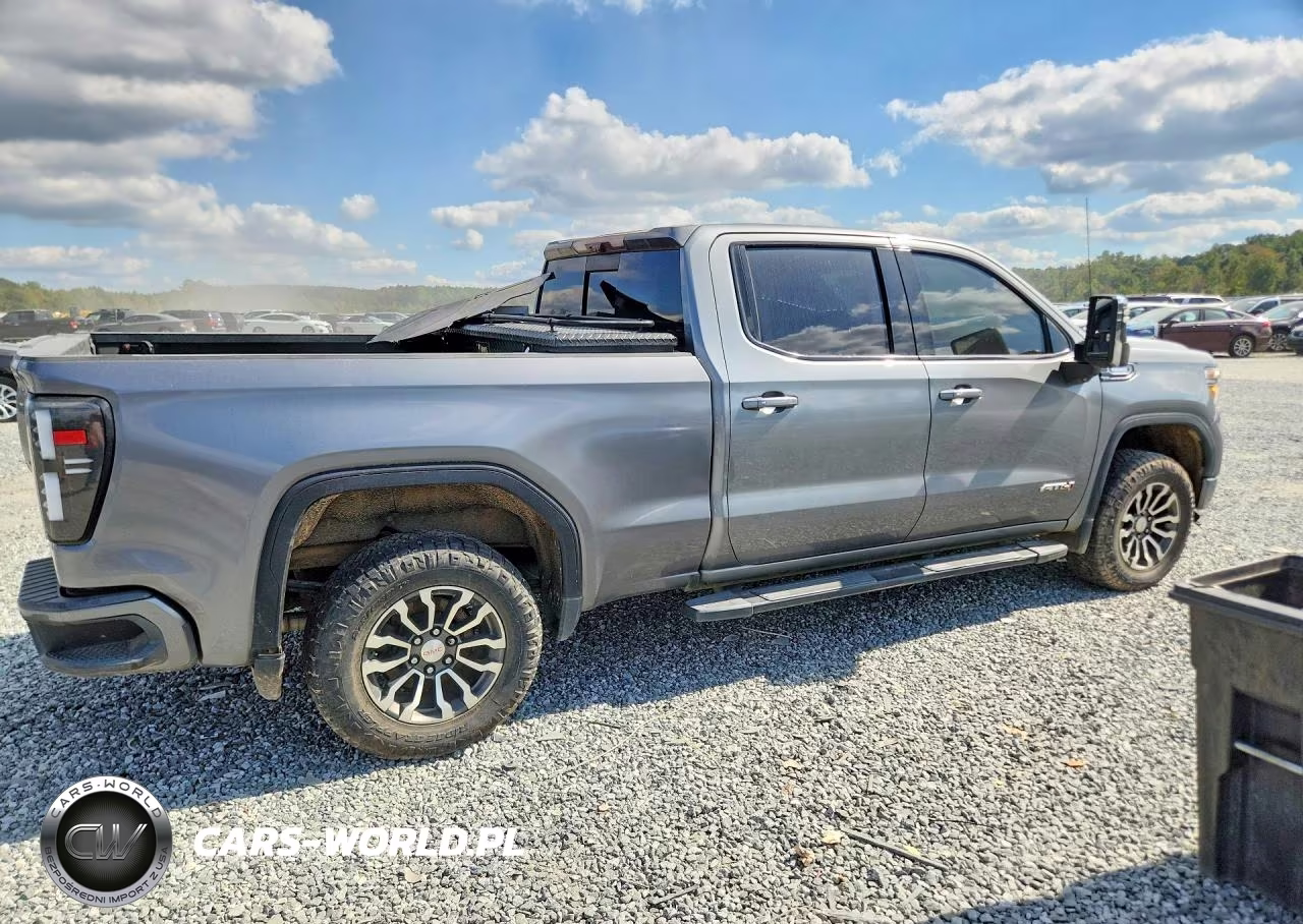 2020 GMC Sierra K1500 At4 VIN:3GTU9EET6LG223182 - 3