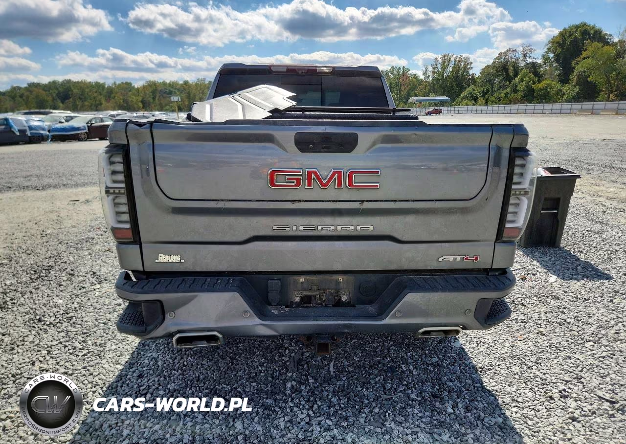 2020 GMC Sierra K1500 At4 VIN:3GTU9EET6LG223182 - 6