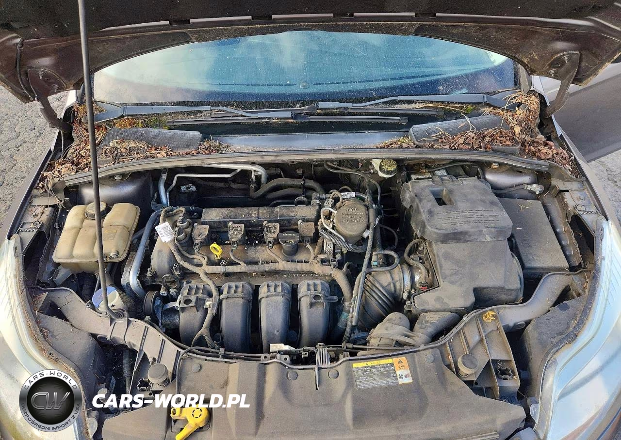 2012 Ford Focus S VIN:1FAHP3E21CL285326 - 11
