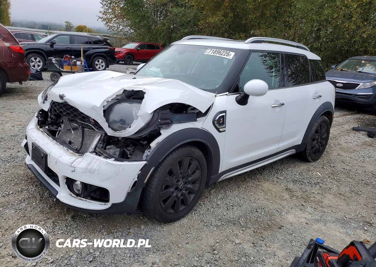 2019 Mini Cooper S Countryman All4 VIN:WMZYT5C58K3J88962 - 1
