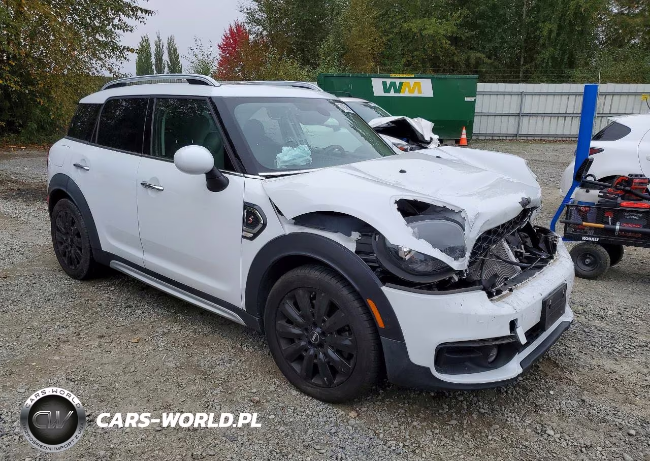 2019 Mini Cooper S Countryman All4 VIN:WMZYT5C58K3J88962 - 4