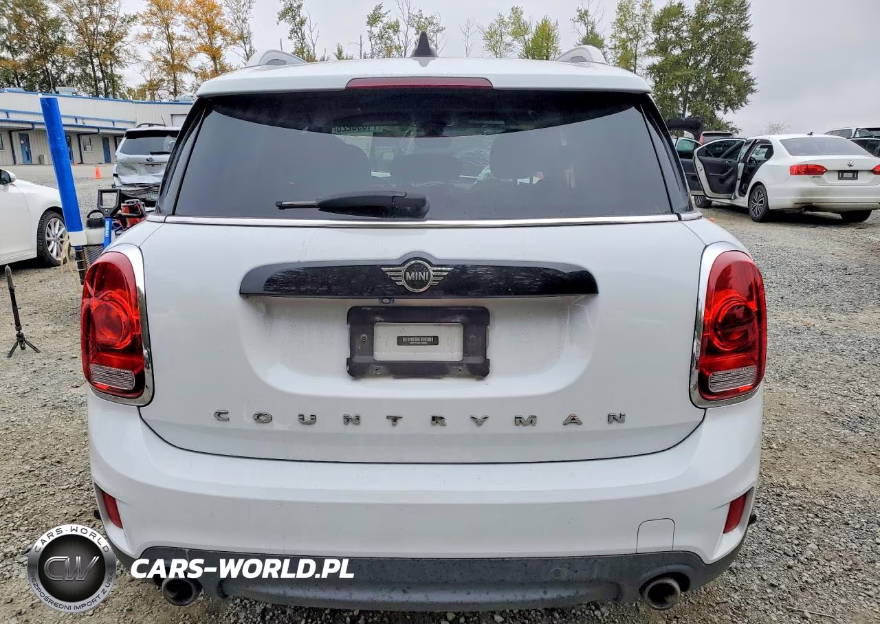 2019 Mini Cooper S Countryman All4 VIN:WMZYT5C58K3J88962 - 6