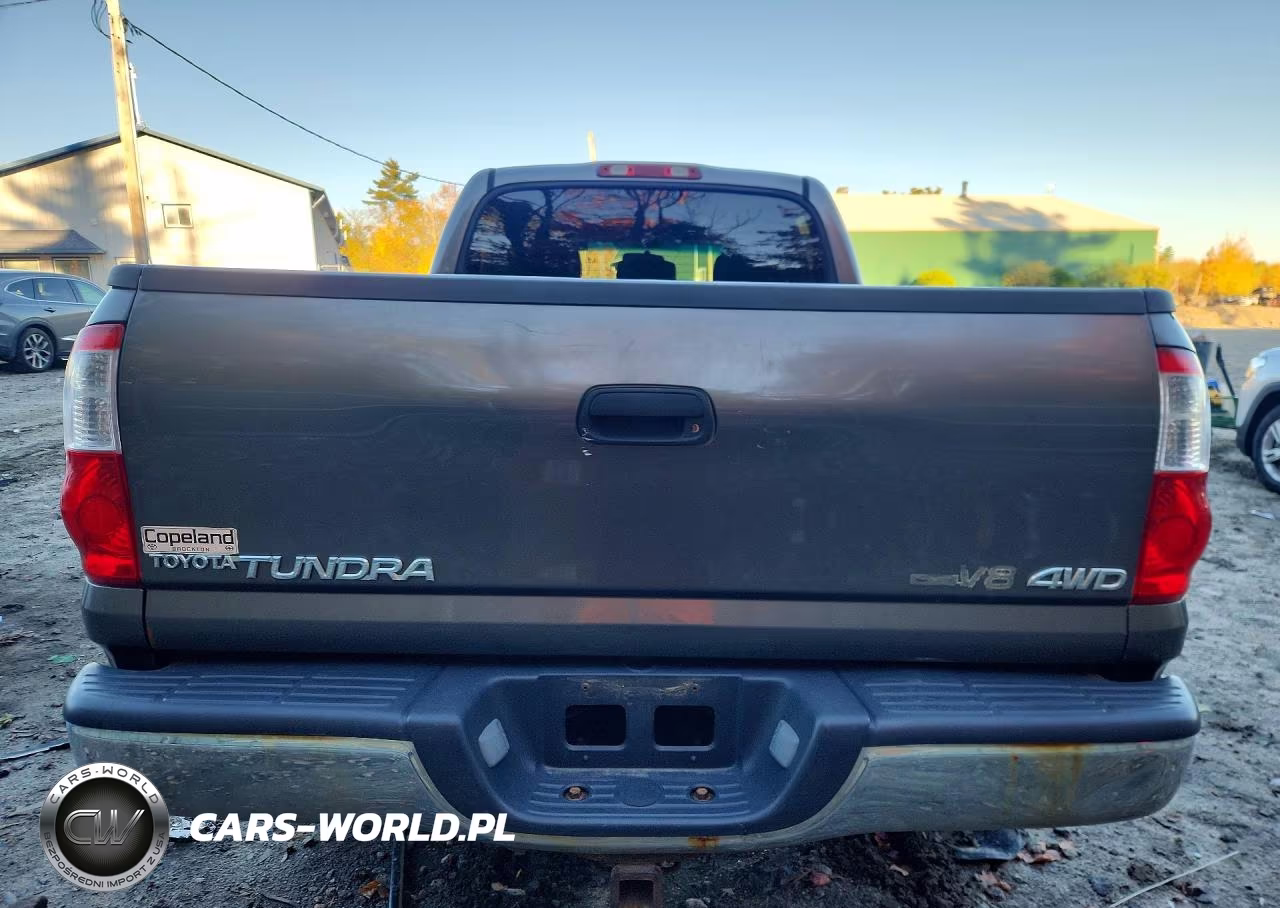 2006 Toyota Tundra Double Cab Sr5 VIN:5TBDT44126S505085 - 6