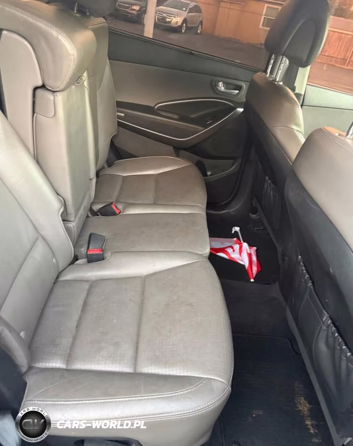 2014 Hyundai Santa Fe Gls VIN:KM8SN4HF6EU043828 - 6