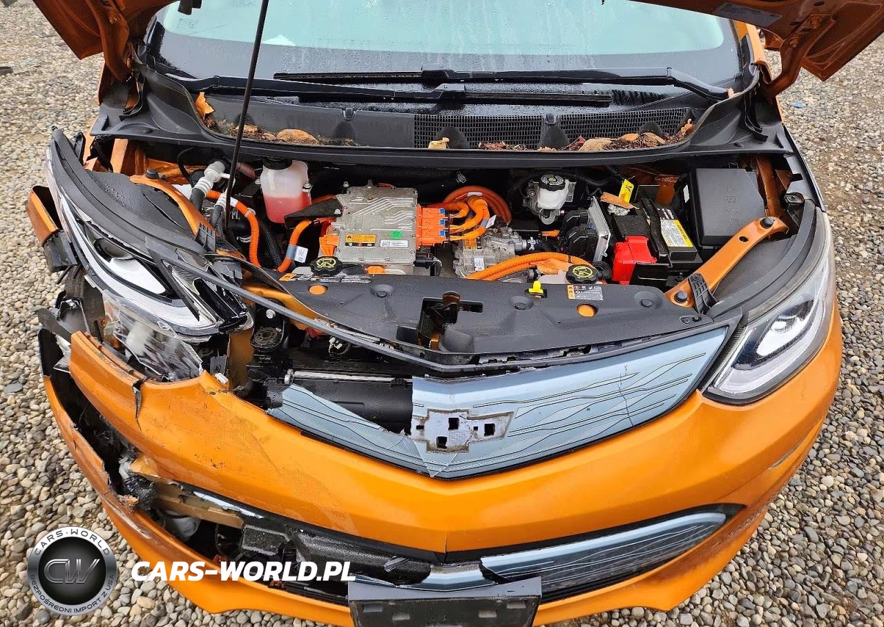 2017 Chevrolet Bolt Ev Lt VIN:1G1FW6S06H4137238 - 11