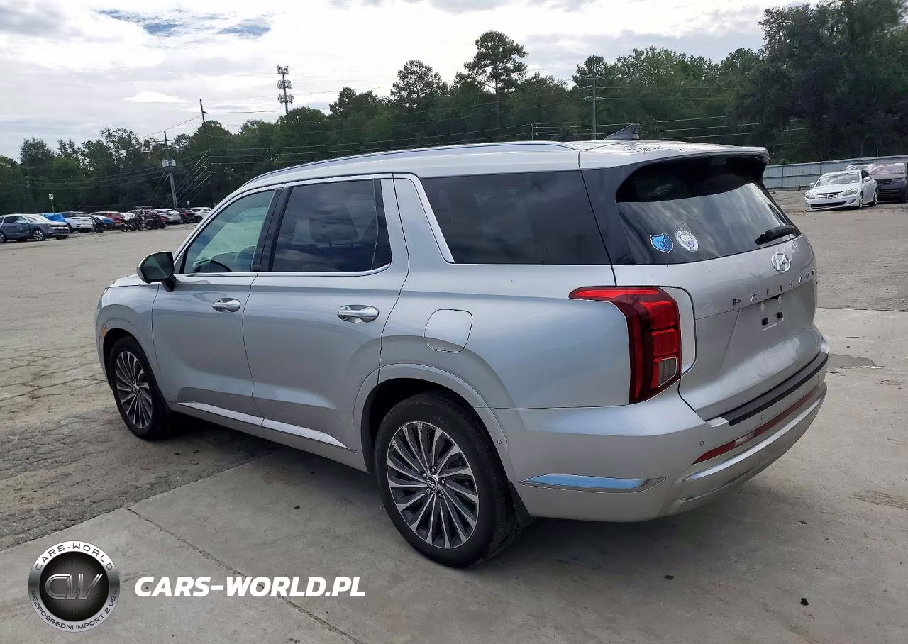 2023 Hyundai Palisade Calligraphy VIN:KM8R7DGE0PU596513 - 2