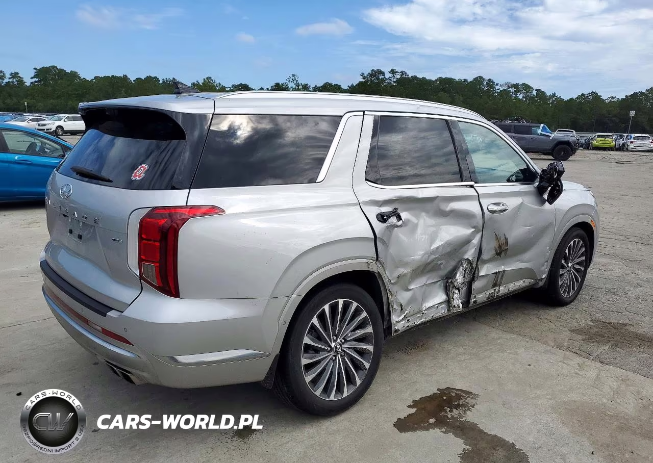 2023 Hyundai Palisade Calligraphy VIN:KM8R7DGE0PU596513 - 3