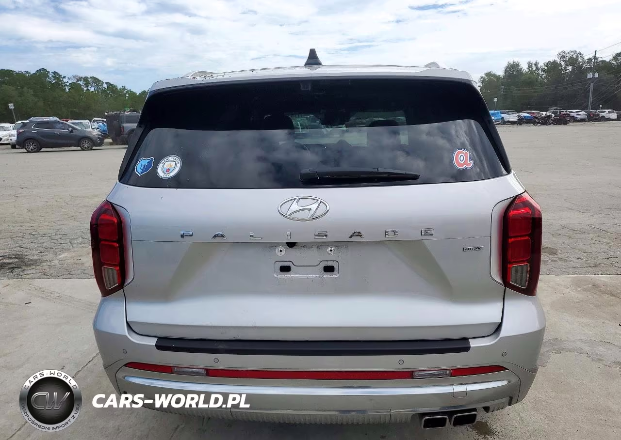 2023 Hyundai Palisade Calligraphy VIN:KM8R7DGE0PU596513 - 6