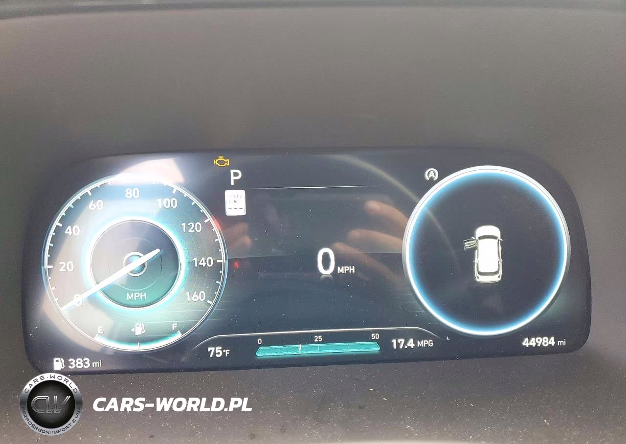 2023 Hyundai Palisade Calligraphy VIN:KM8R7DGE0PU596513 - 9