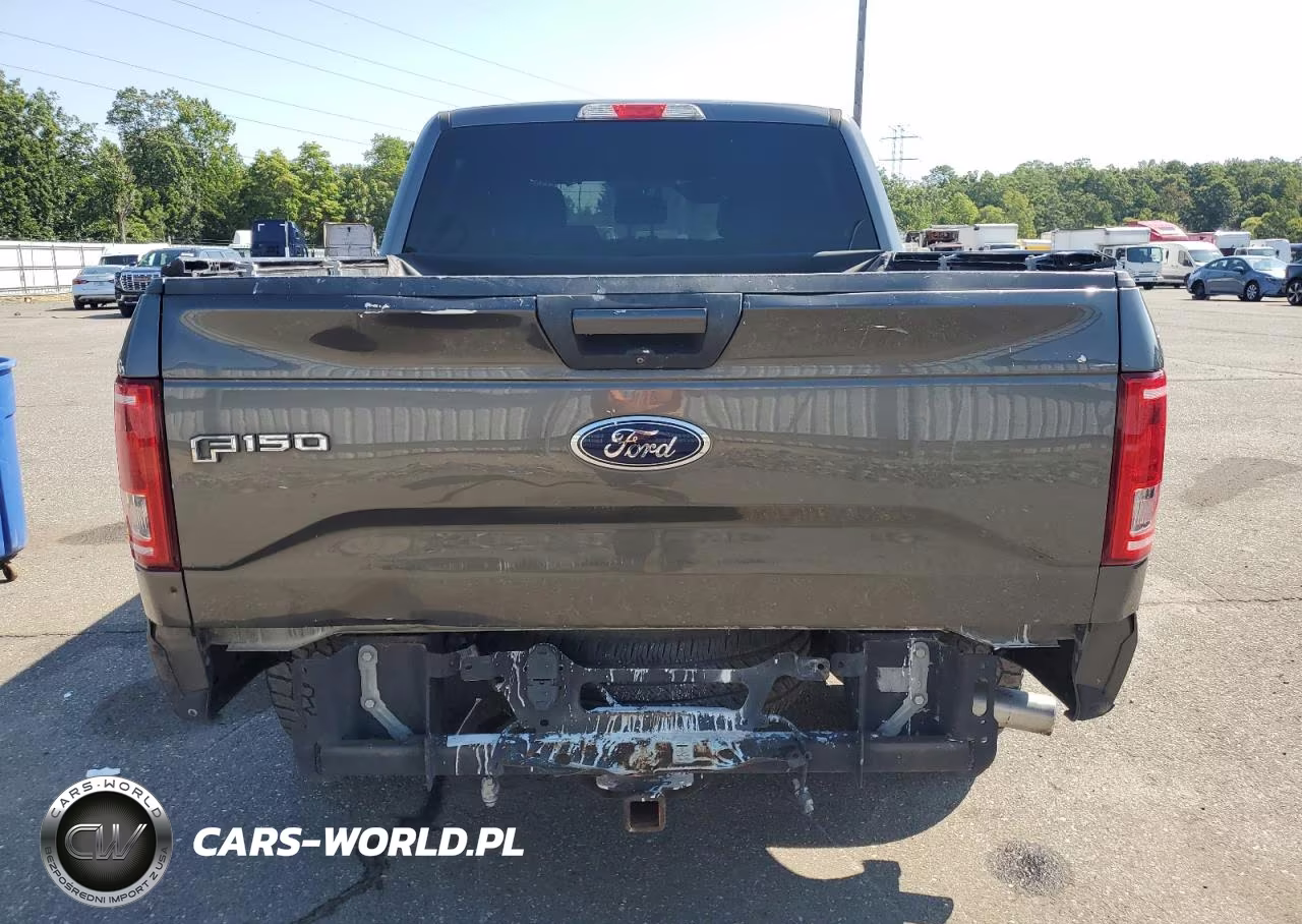 2015 Ford F150 Supercrew VIN:1FTEW1CPXFFB38525 - 6