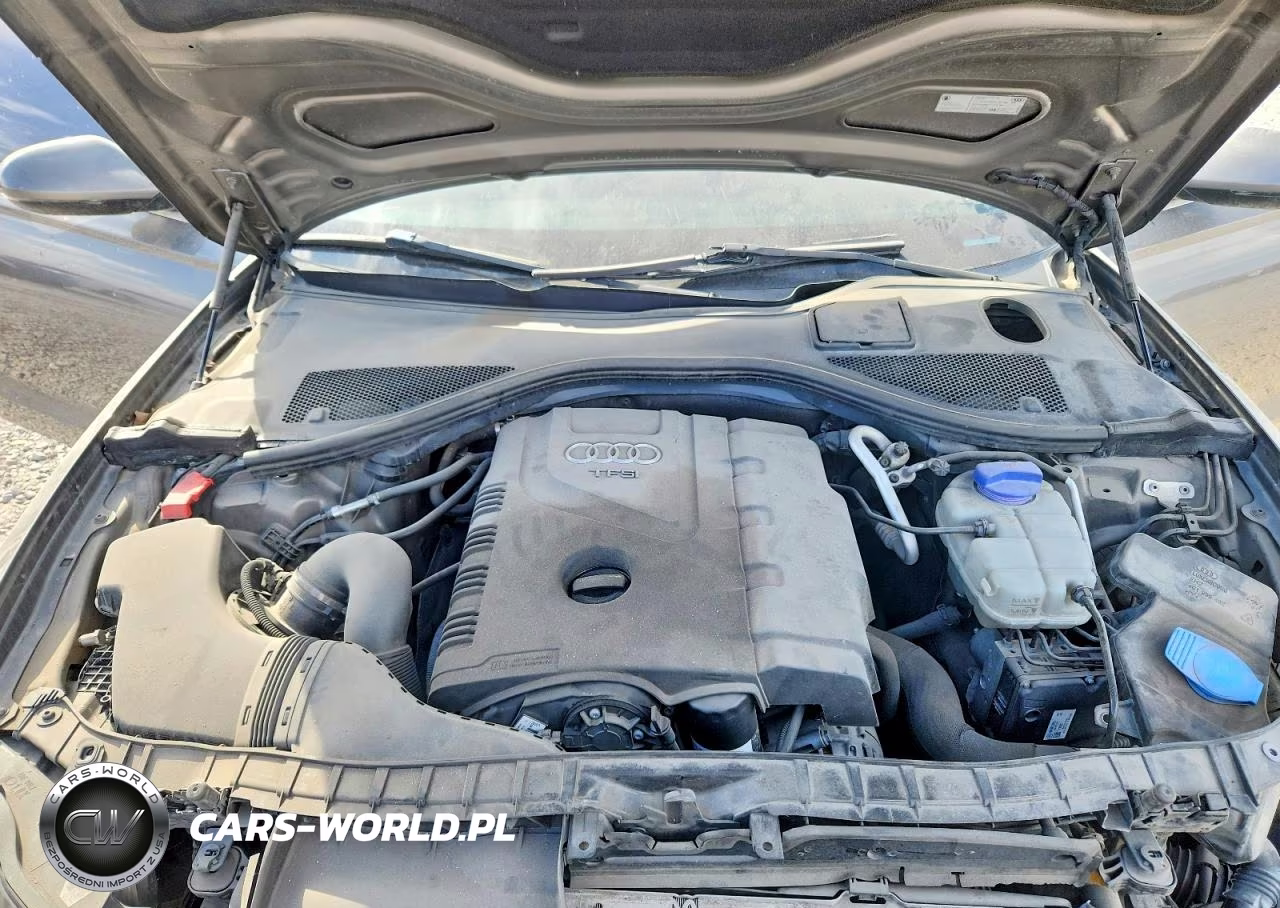 AUDI A6 PREMIUM VIN:WAUFFAFC3EN149493 - 11