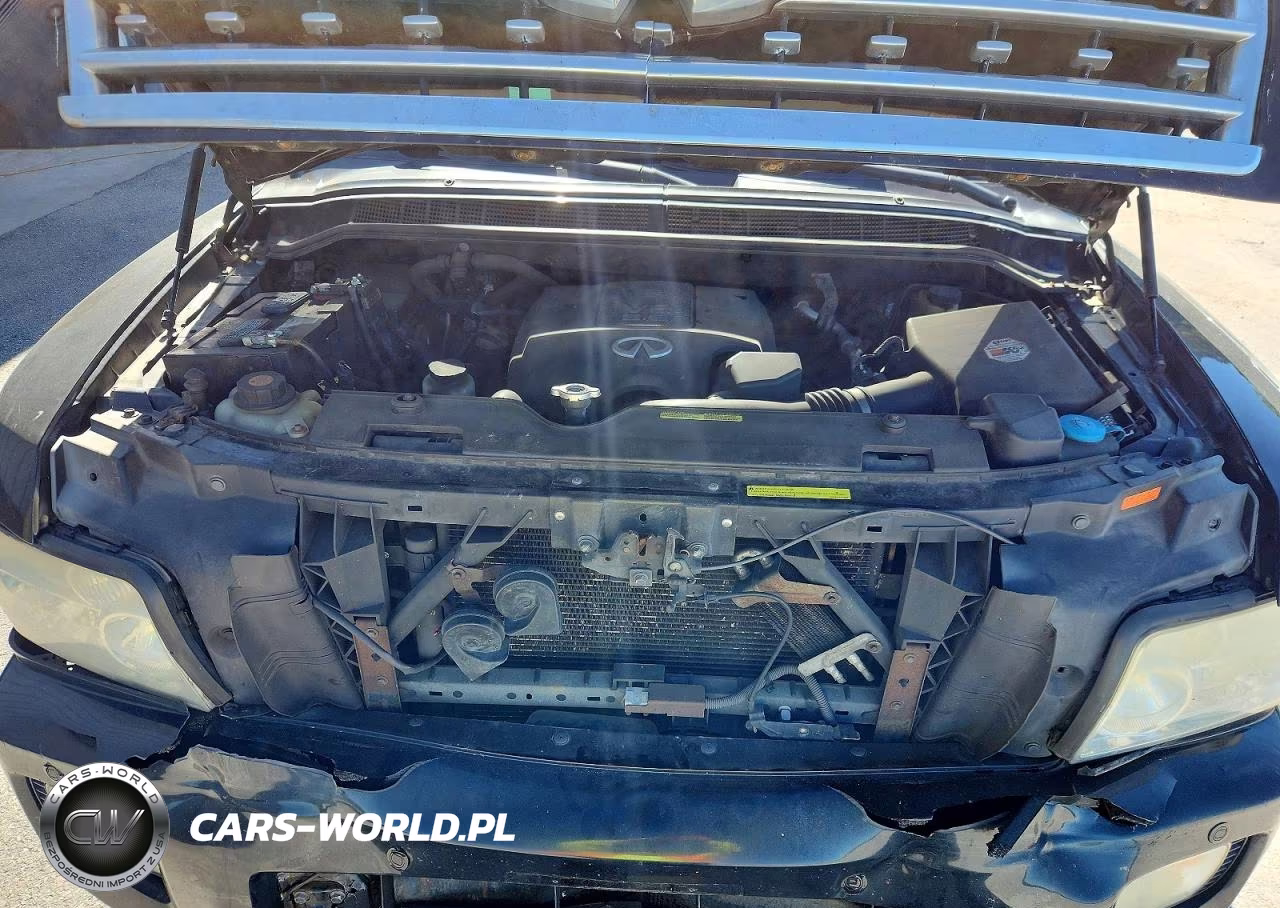 2008 Infiniti Qx56 Base VIN:5N3AA08C08N908191 - 12