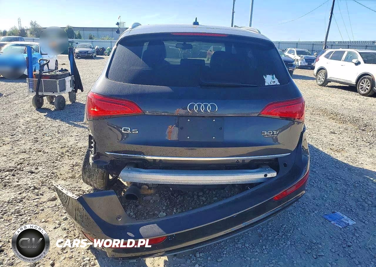2016 Audi Q5 Premium Plus S-Line VIN:WA1D7AFP1GA100386 - 6