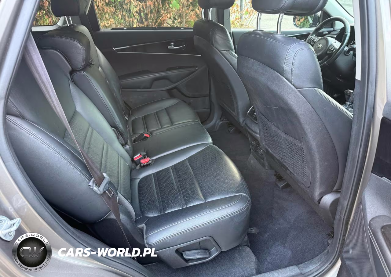 2016 Kia Sorento Ex VIN:5XYPHDA53GG004895 - 6