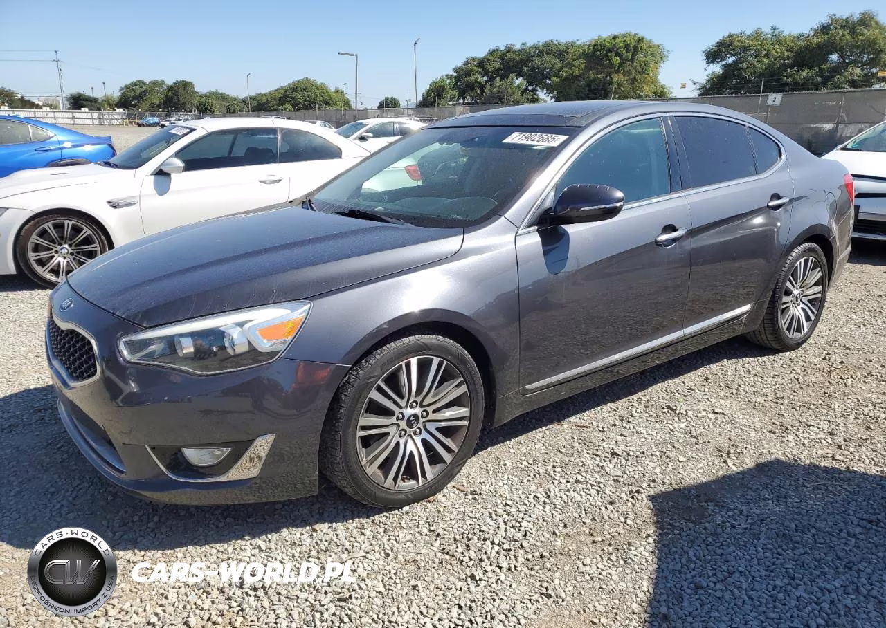 2014 Kia Cadenza Premium