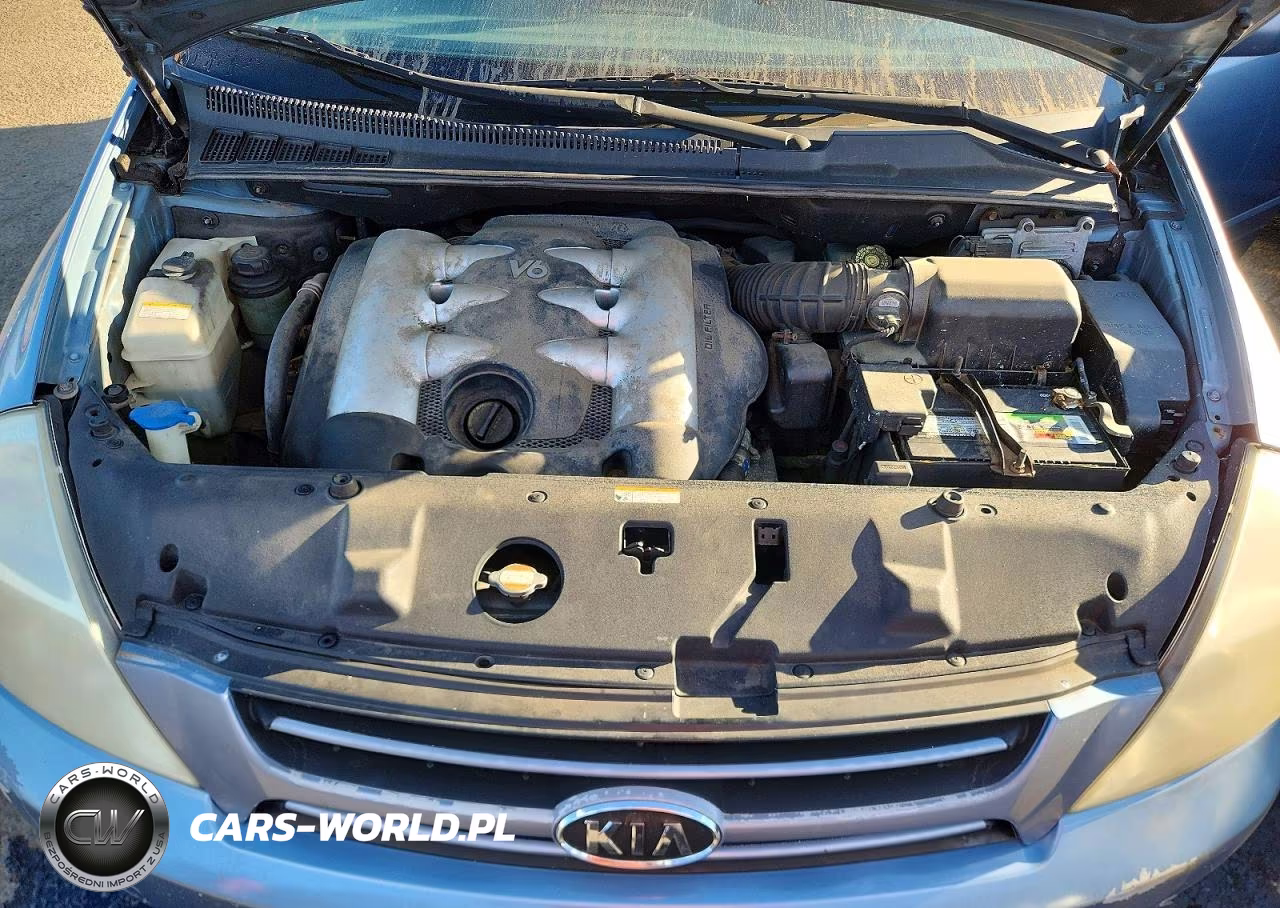 2007 Kia Sedona Base VIN:KNDMB233976172354 - 12