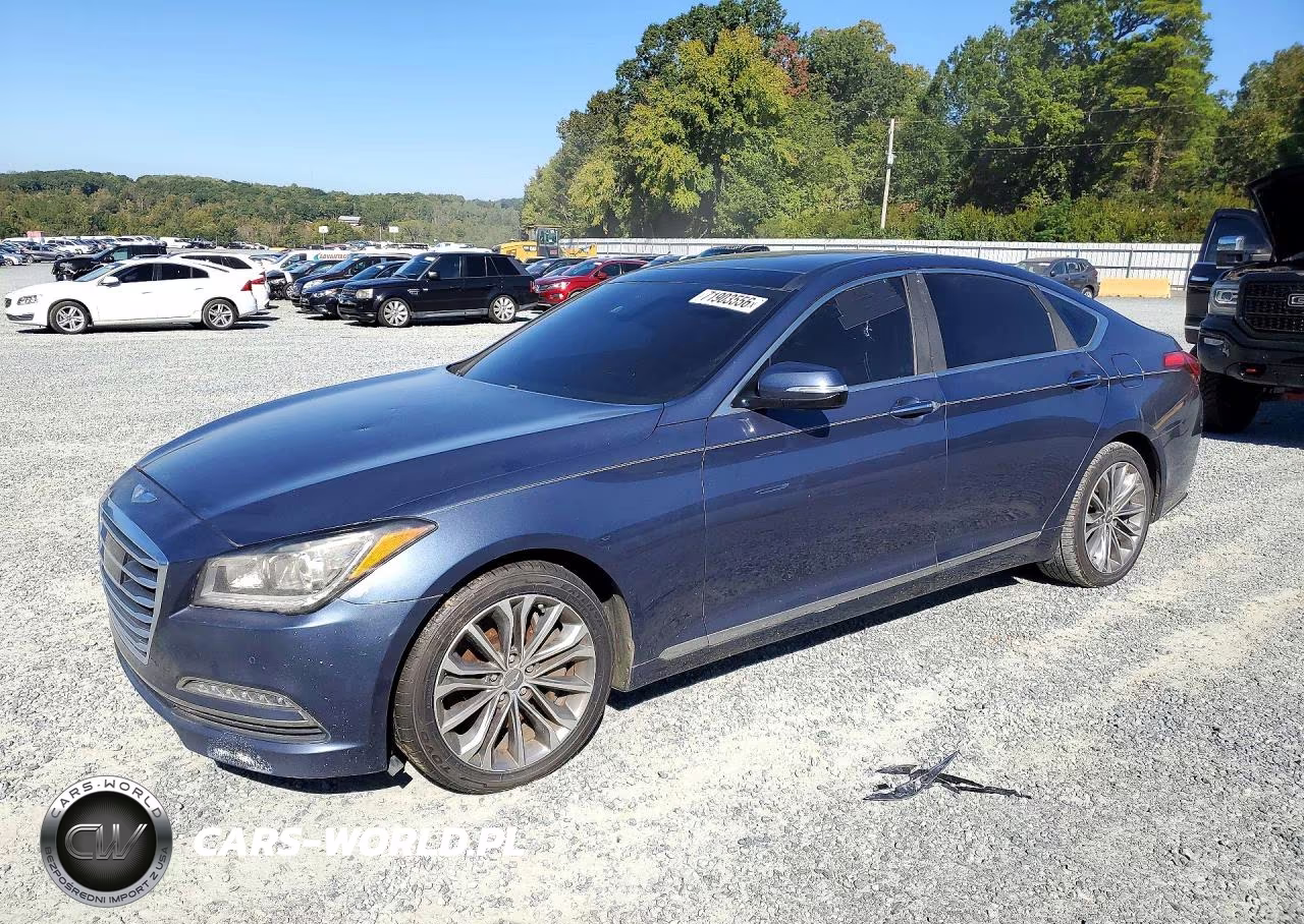 2016 Hyundai Genesis 3.8L VIN:KMHGN4JE9GU106835 - 1