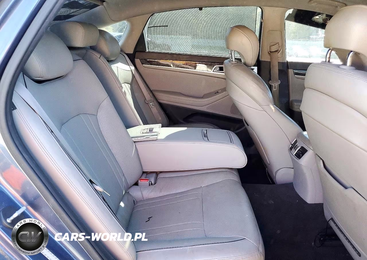 2016 Hyundai Genesis 3.8L VIN:KMHGN4JE9GU106835 - 10