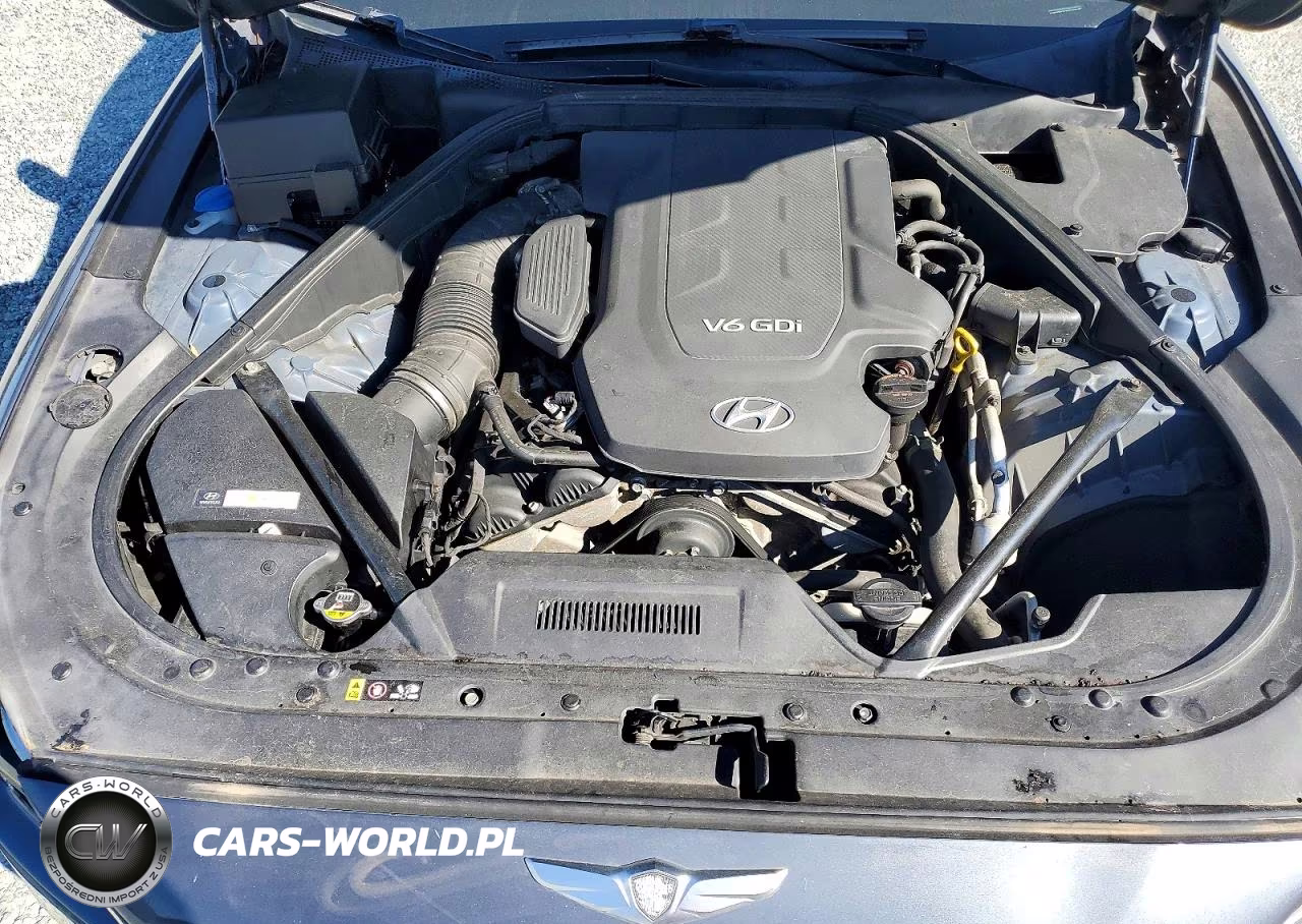 2016 Hyundai Genesis 3.8L VIN:KMHGN4JE9GU106835 - 11