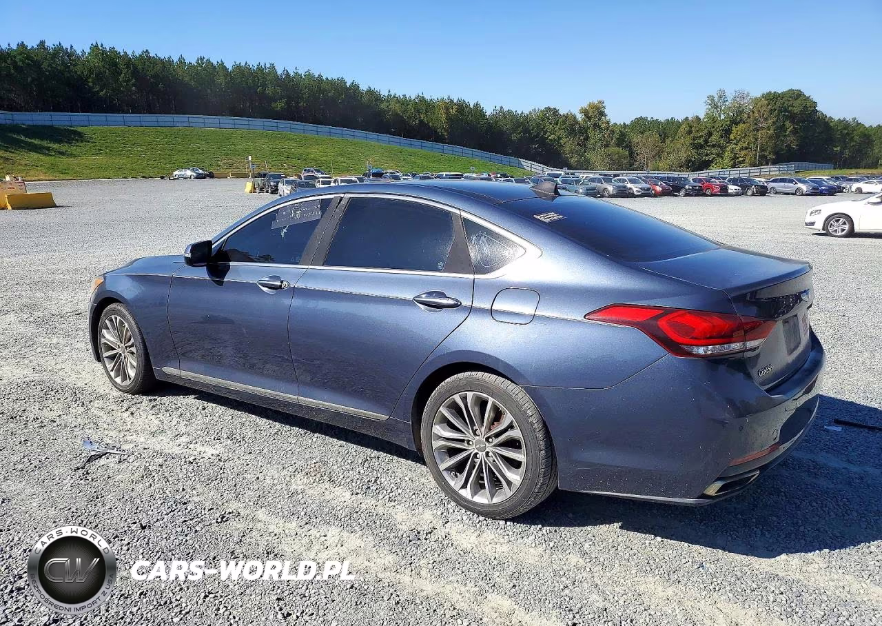 2016 Hyundai Genesis 3.8L VIN:KMHGN4JE9GU106835 - 2