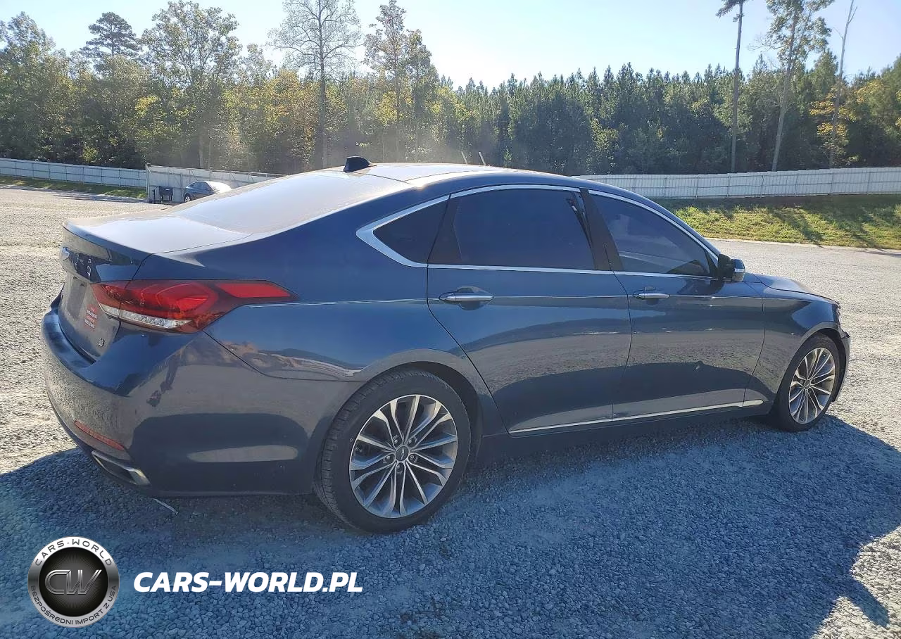 2016 Hyundai Genesis 3.8L VIN:KMHGN4JE9GU106835 - 3
