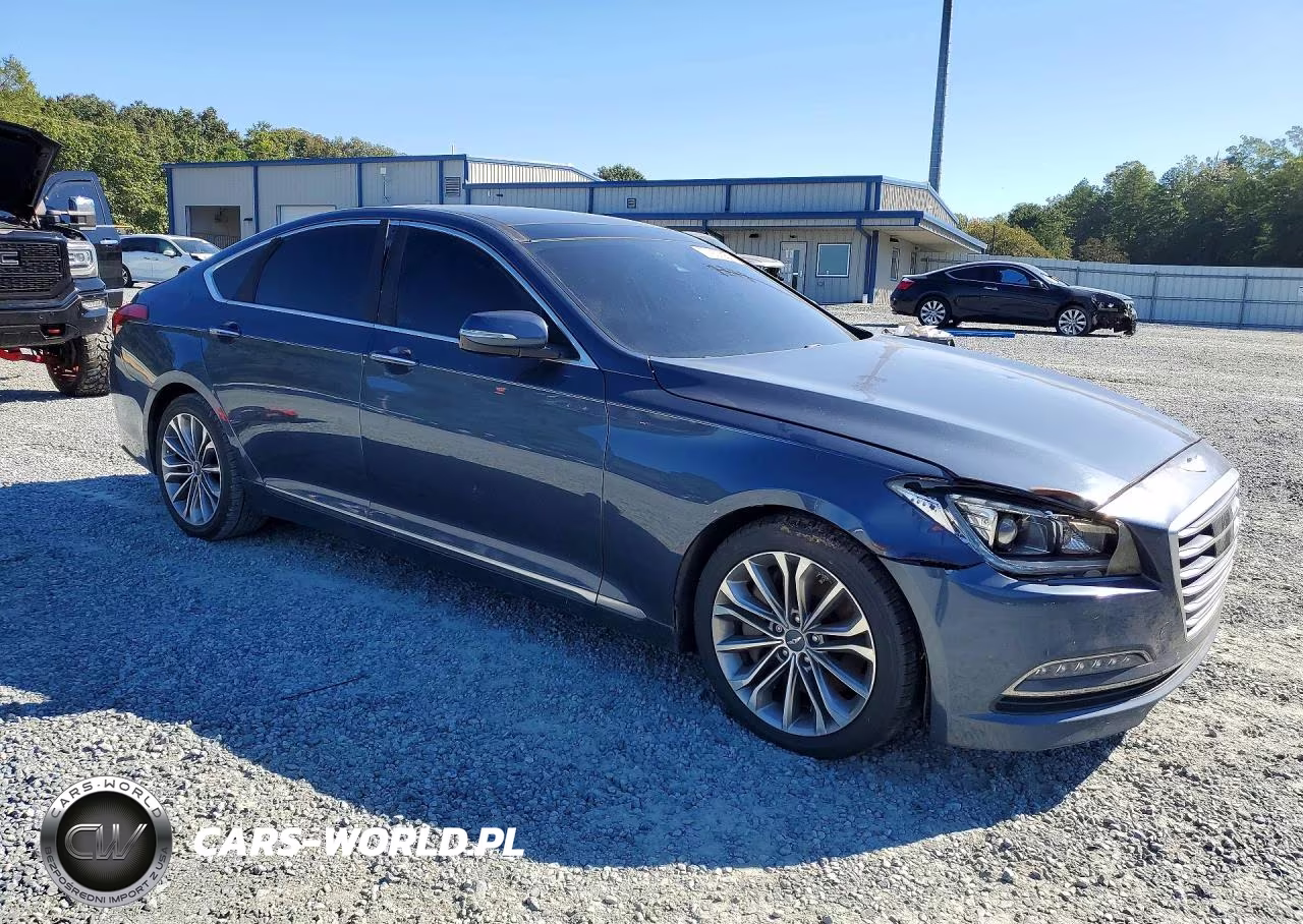 2016 Hyundai Genesis 3.8L VIN:KMHGN4JE9GU106835 - 4