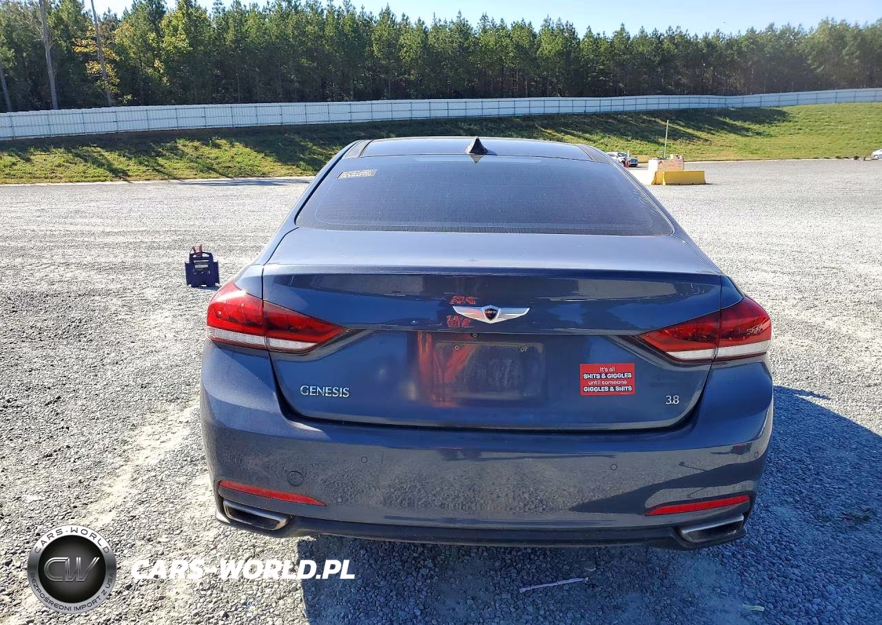 2016 Hyundai Genesis 3.8L VIN:KMHGN4JE9GU106835 - 6