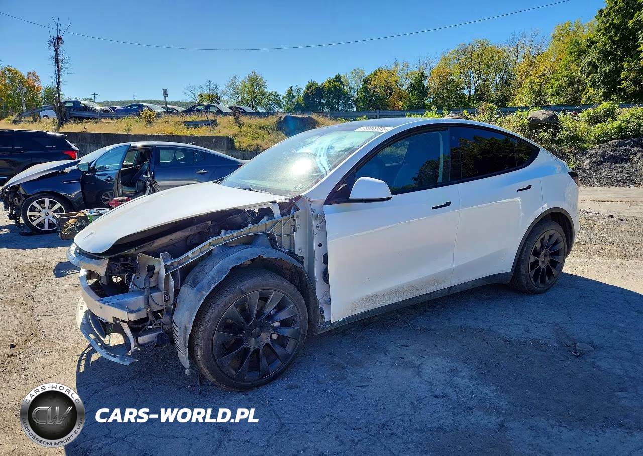 2023 Tesla Model Y VIN:7SAYDGEE9PA080209 - 1
