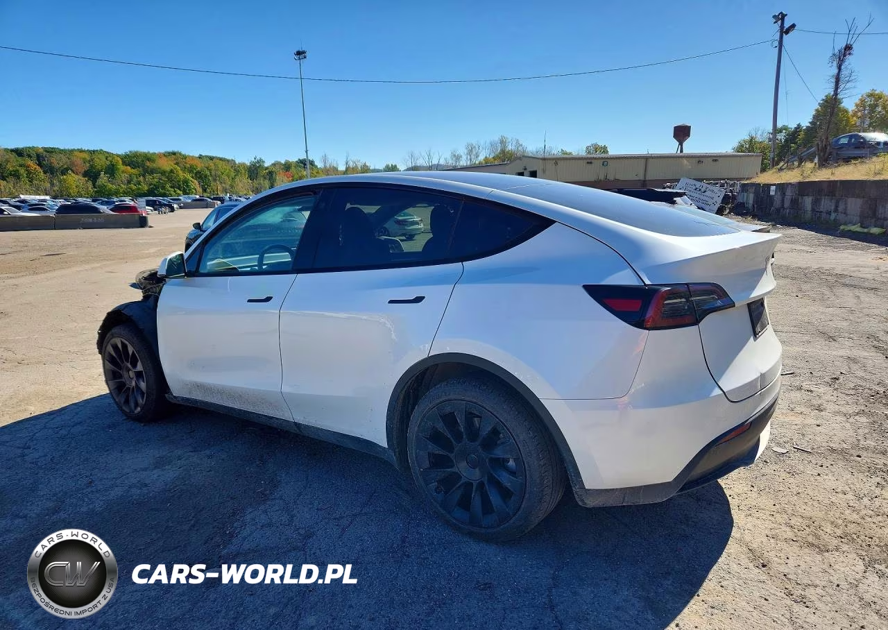 2023 Tesla Model Y VIN:7SAYDGEE9PA080209 - 2