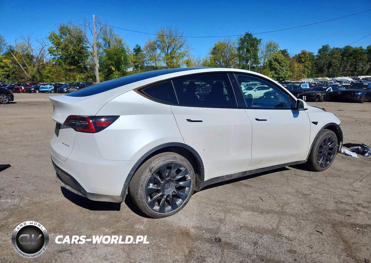 2023 Tesla Model Y VIN:7SAYDGEE9PA080209 - 3